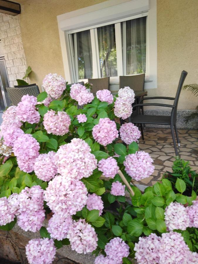 Apartman Paulina Lägenhet Selce Exteriör bild